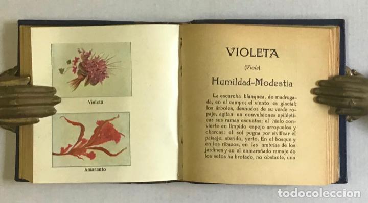 Libros antiguos: FLORES. - CAMB&Oacute;N Y FRAGA, Manuel. - Foto 6