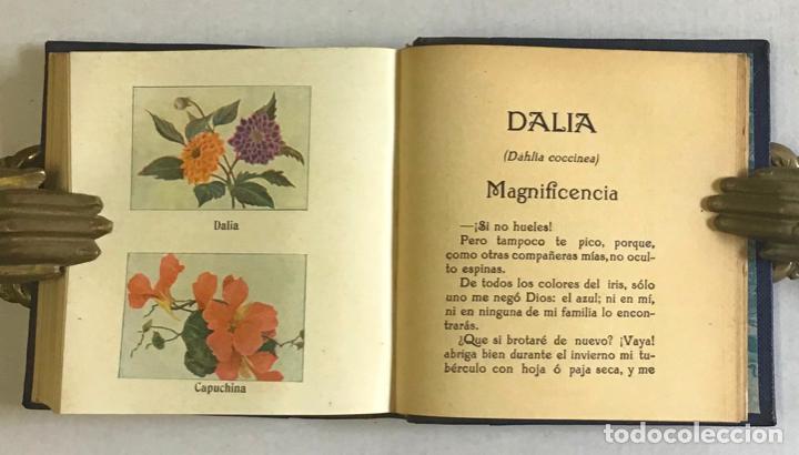 Libros antiguos: FLORES. - CAMB&Oacute;N Y FRAGA, Manuel. - Foto 7