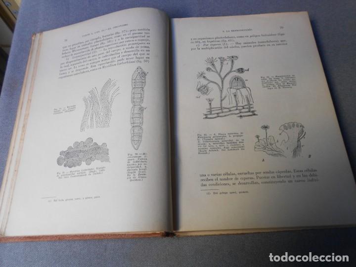 Libros antiguos: BIOLOGIA DEL BACHILLER - Foto 3