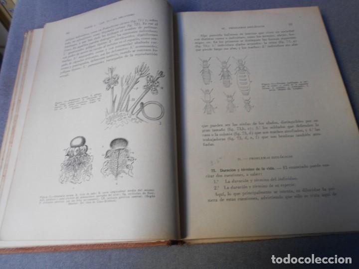 Libros antiguos: BIOLOGIA DEL BACHILLER - Foto 4