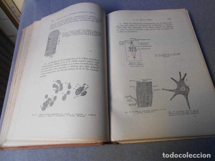 Libros antiguos: BIOLOGIA DEL BACHILLER - Foto 5