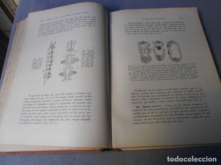 Libros antiguos: BIOLOGIA DEL BACHILLER - Foto 6