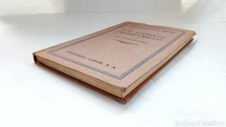 Libros antiguos: Los animales prehist&oacute;ricos. Othenio Abel. - Foto 5