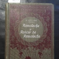 Libros antiguos: REMOLACHA Y AZUCAR DE REMOLACHA, EMILIO SAILLARD. Lote 231040230