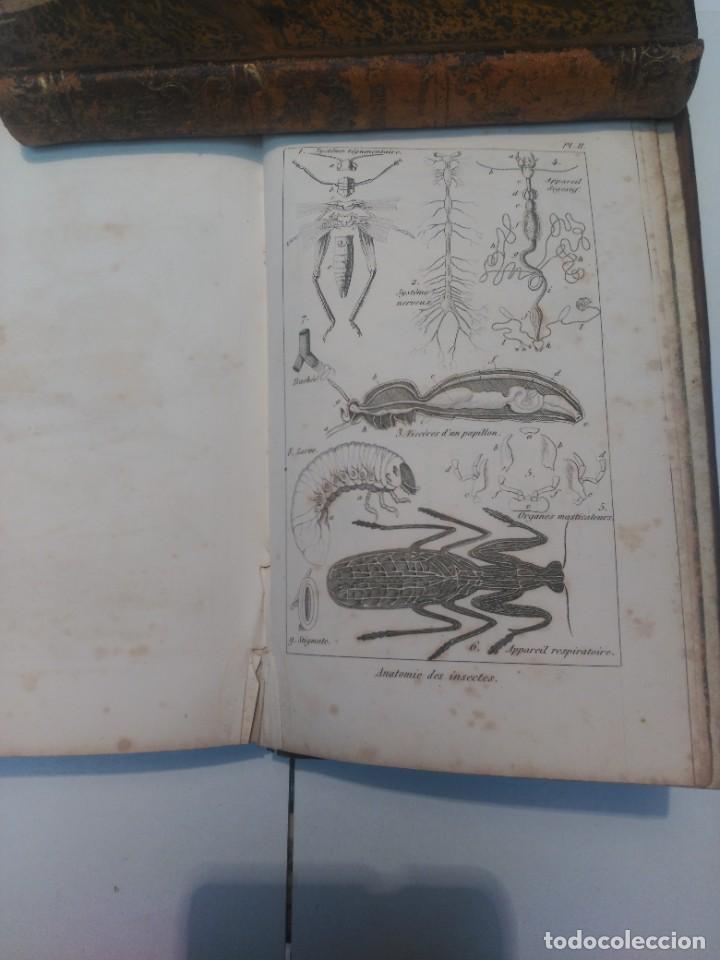 Libros antiguos: Elementos de Historia Natural Milne - Foto 3
