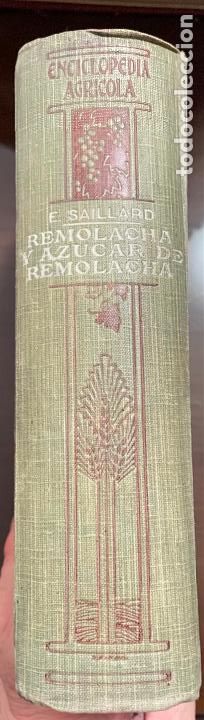 Libros antiguos: REMOLAHA Y AZUCAR DE REMOLACHA Emilio Saillard - Foto 2
