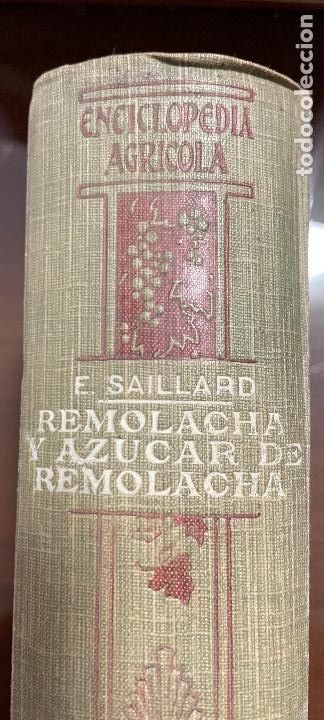 Libros antiguos: REMOLAHA Y AZUCAR DE REMOLACHA Emilio Saillard - Foto 5