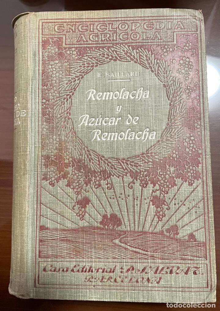 Libros antiguos: REMOLAHA Y AZUCAR DE REMOLACHA Emilio Saillard - Foto 1