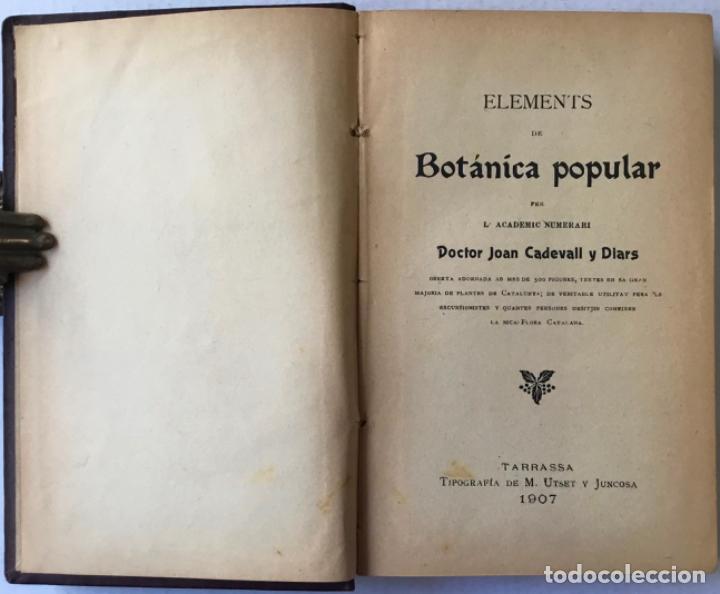 Libros antiguos: ELEMENTS DE BOT&Agrave;NICA POPULAR. - CADEVALL I DIARS, Joan. - Foto 2
