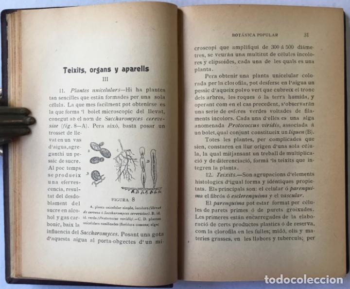 Libros antiguos: ELEMENTS DE BOT&Agrave;NICA POPULAR. - CADEVALL I DIARS, Joan. - Foto 3