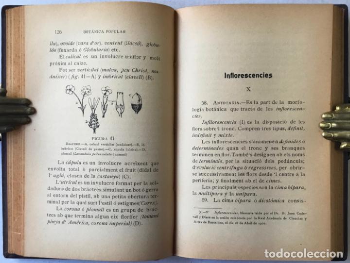 Libros antiguos: ELEMENTS DE BOT&Agrave;NICA POPULAR. - CADEVALL I DIARS, Joan. - Foto 4