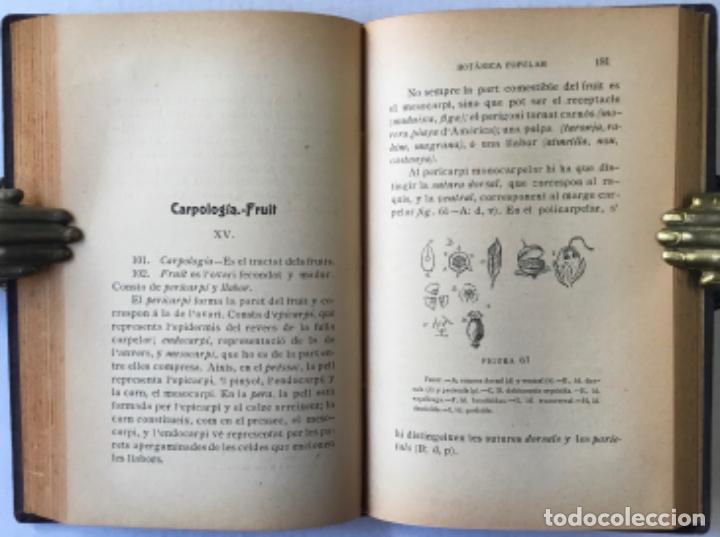 Libros antiguos: ELEMENTS DE BOT&Agrave;NICA POPULAR. - CADEVALL I DIARS, Joan. - Foto 5