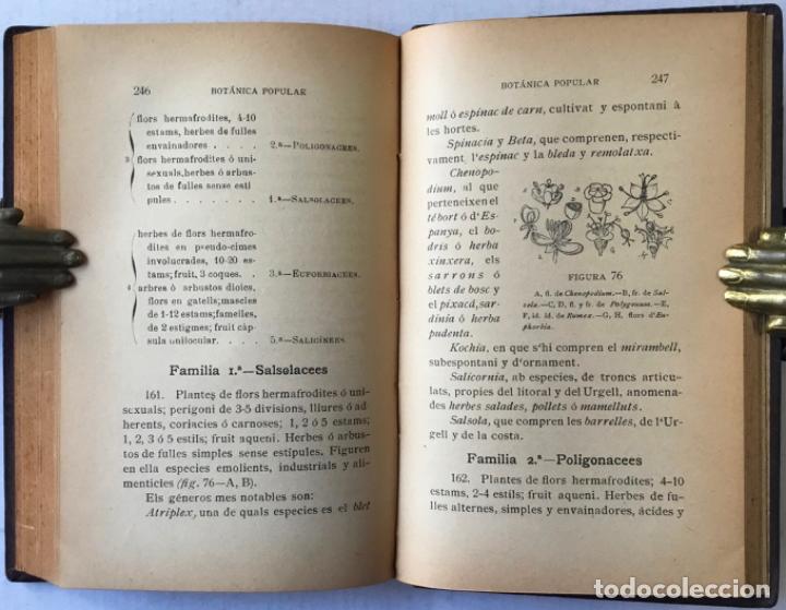 Libros antiguos: ELEMENTS DE BOT&Agrave;NICA POPULAR. - CADEVALL I DIARS, Joan. - Foto 6