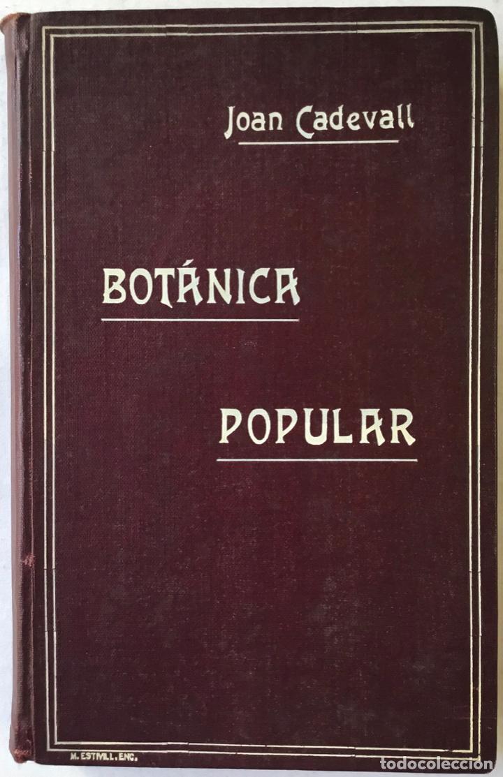 Libros antiguos: ELEMENTS DE BOT&Agrave;NICA POPULAR. - CADEVALL I DIARS, Joan. - Foto 1