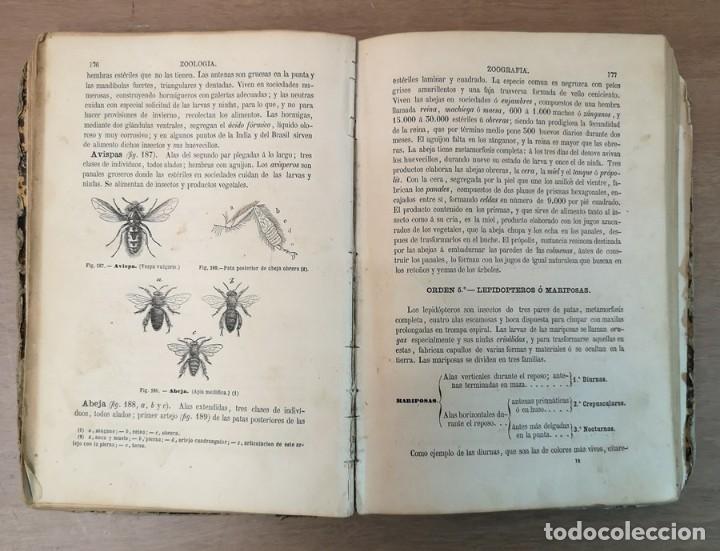 Libros antiguos: Historia Natural - Foto 4