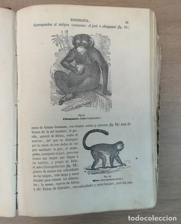 Libros antiguos: Historia Natural - Foto 5