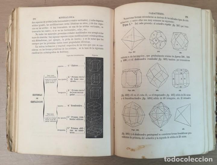 Libros antiguos: Historia Natural - Foto 6