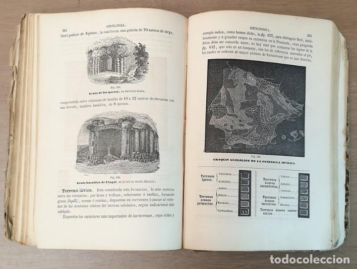 Libros antiguos: Historia Natural - Foto 7