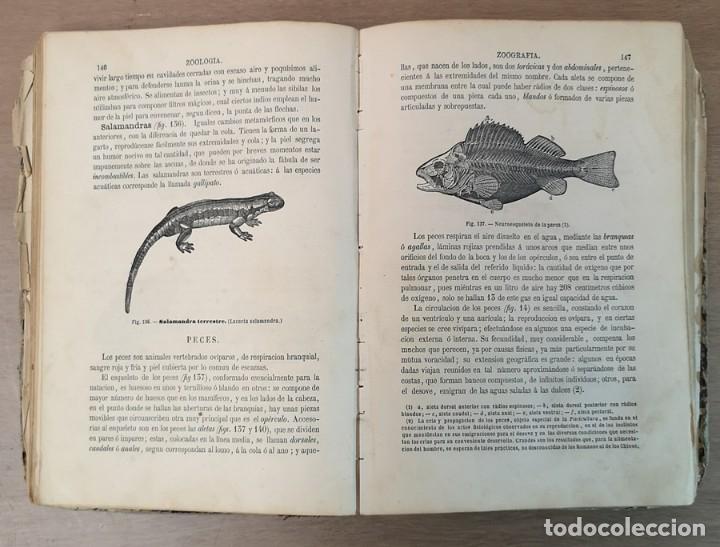 Libros antiguos: Historia Natural - Foto 8