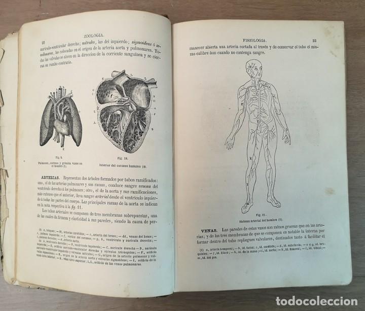Libros antiguos: Historia Natural - Foto 9