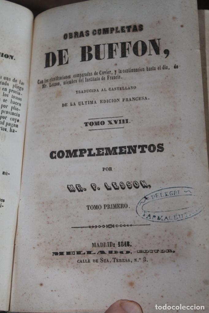 Libros antiguos: buffon historia natural, complementos, 1847 - Foto 1