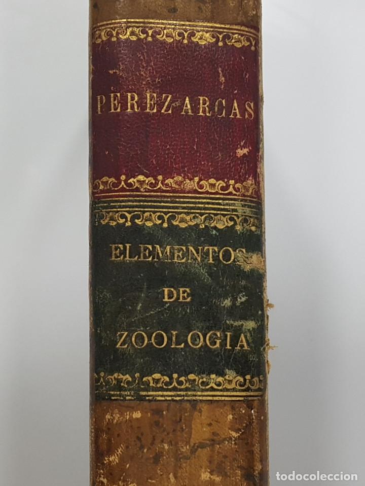 Libros antiguos: ELEMENTOS DE ZOOLOGIA. LAUREANO PEREZ ARCAS. 1874. PIEL, M&Aacute;S DE 500 GRABADOS. Ver fotos