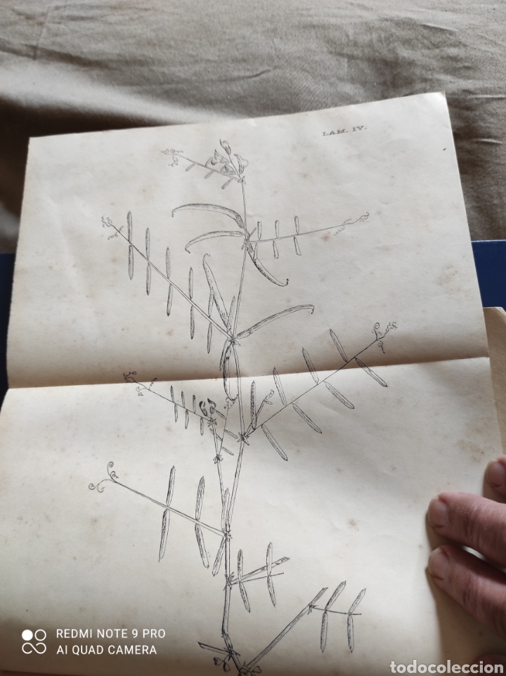 Libros antiguos: Contribuci&oacute;n a la flora de Galicia 1898 - Foto 3