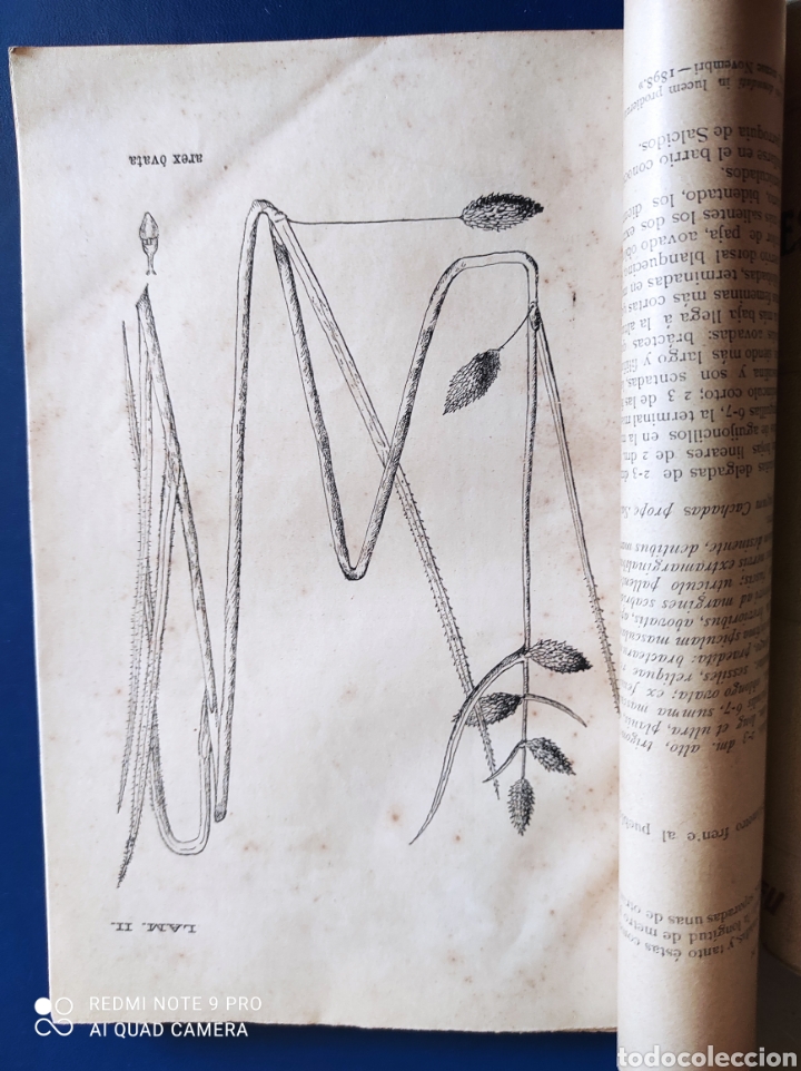 Libros antiguos: Contribuci&oacute;n a la flora de Galicia 1898 - Foto 4