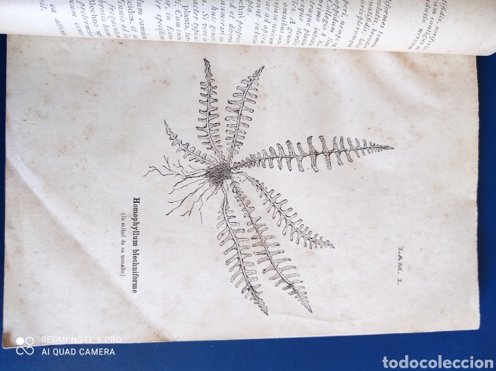 Libros antiguos: Contribuci&oacute;n a la flora de Galicia 1898 - Foto 5