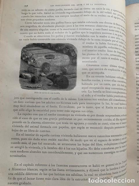 Libros antiguos: LOS PRECURSORES DEL ARTE Y DE LA INDUSTRIA (1886) - Foto 6