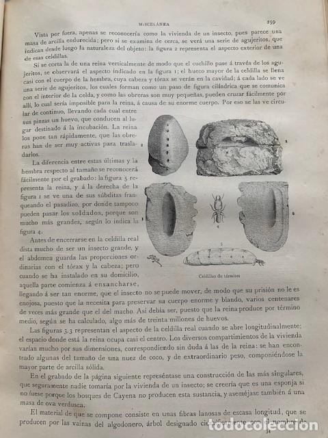 Libros antiguos: LOS PRECURSORES DEL ARTE Y DE LA INDUSTRIA (1886) - Foto 7