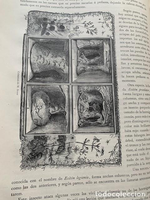 Libros antiguos: LOS PRECURSORES DEL ARTE Y DE LA INDUSTRIA (1886) - Foto 8