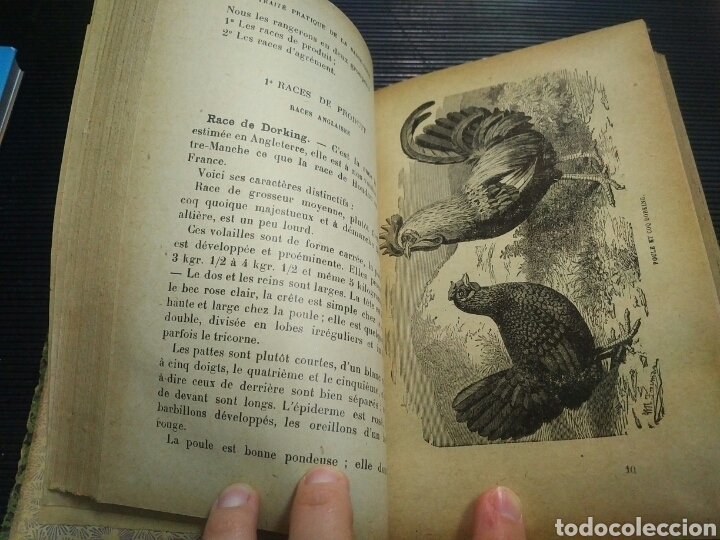 Libros antiguos: Les animaux de basse-cour. Albert Larbal&eacute;trier - Foto 6