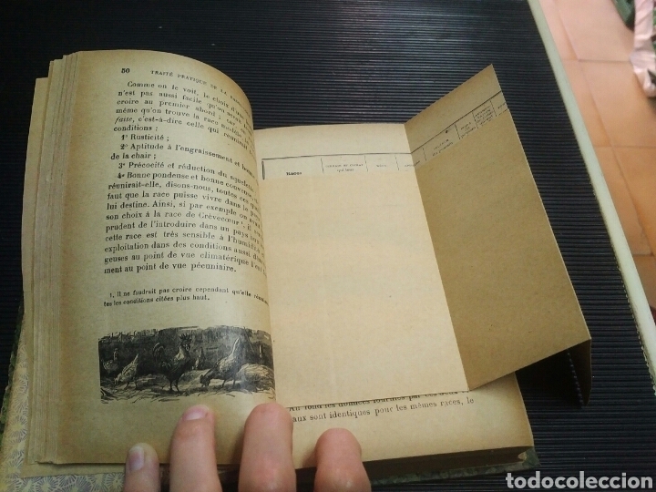 Libros antiguos: Les animaux de basse-cour. Albert Larbal&eacute;trier - Foto 7