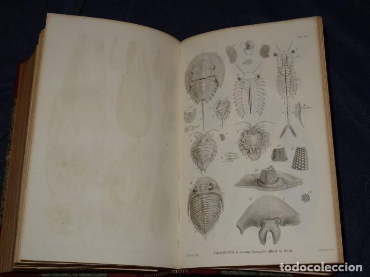 Libros antiguos: (MF) MINERALES - WILLIAM BUCKLAND - GEOLOGY AND MINERALOGY CONSIDERED WITH REFERENCE , LONDON 1837 - Foto 9 - 262380560