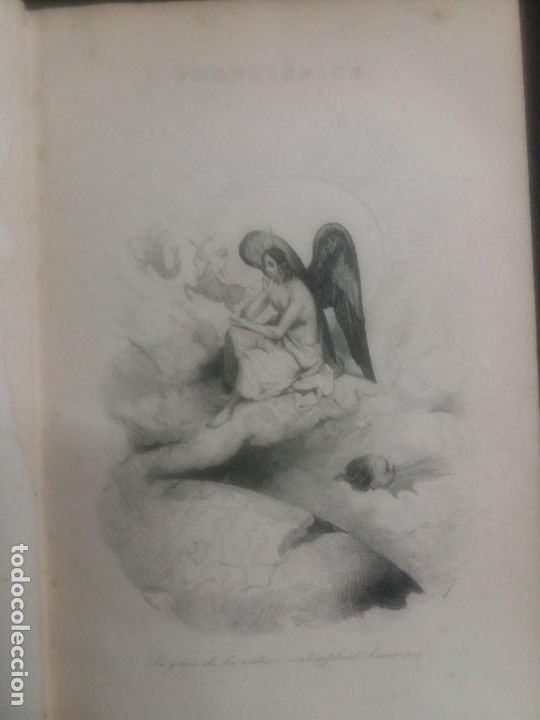 Libros antiguos: Enciclopedia completa de Buffon Historia Natural - Foto 13