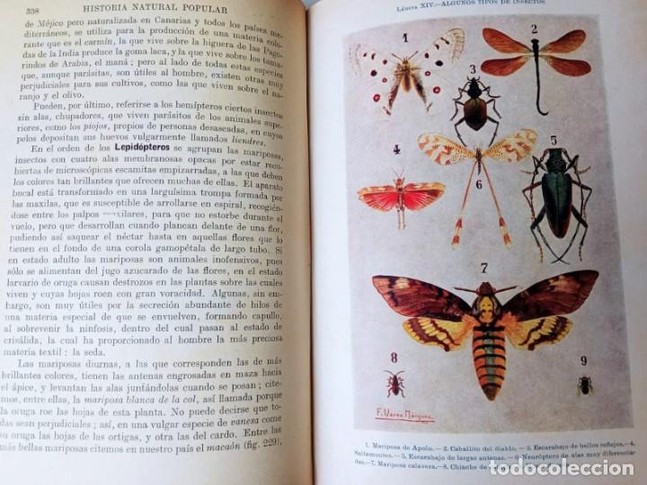 Libros antiguos: Historia Natural. Autor: Celso Ar&eacute;valo - Foto 3