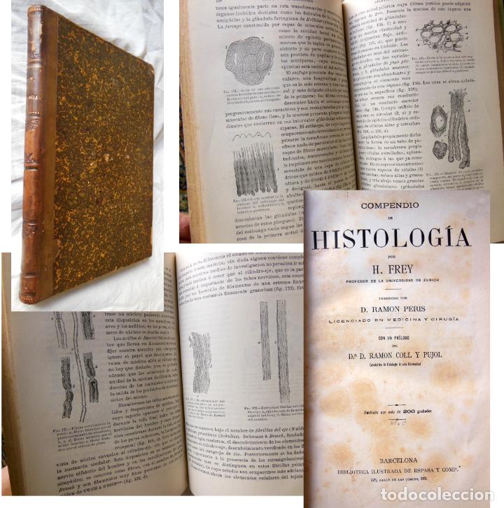 Libros antiguos: COMPENDIO DE HISTOLOGIA. H. FREY - Foto 1