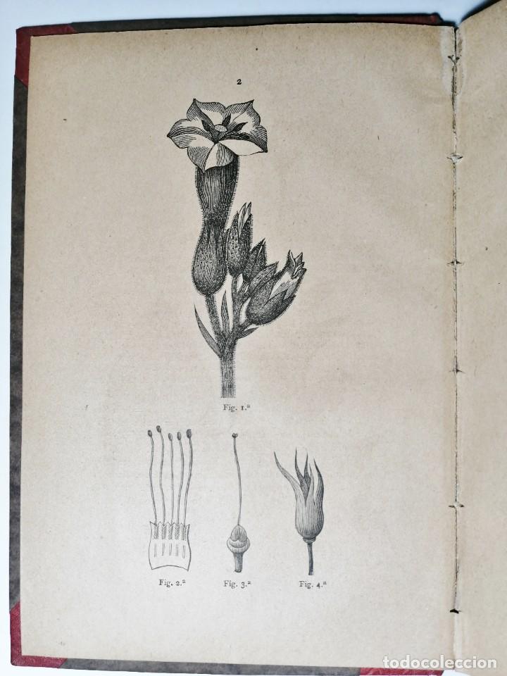 Libros antiguos: EMILIO G&Oacute;MEZ FLORES. EL TABACO. 1889. - Foto 2