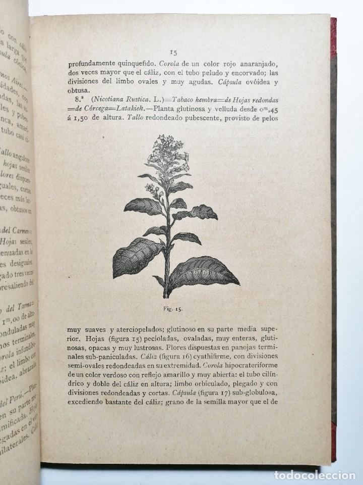 Libros antiguos: EMILIO G&Oacute;MEZ FLORES. EL TABACO. 1889. - Foto 3