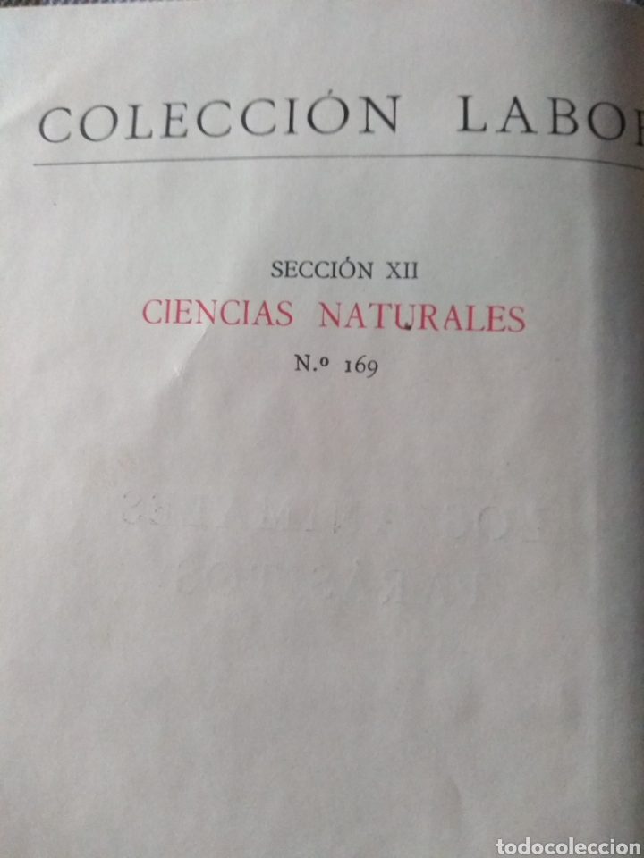 Libros antiguos: Los Animales Par&aacute;sitos - Foto 3