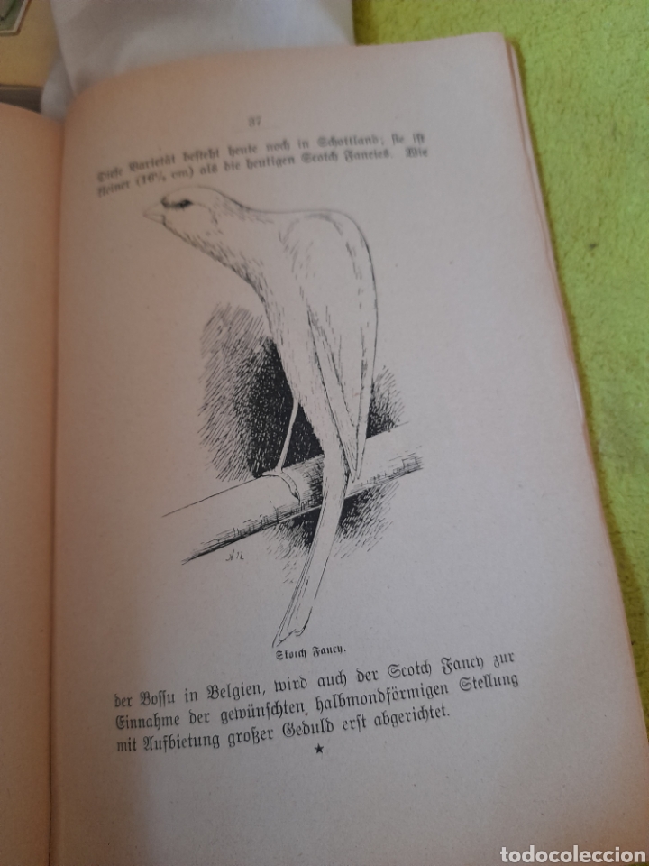 Libros antiguos: Antiguo libro en alem&aacute;n sobre canarios - Foto 3