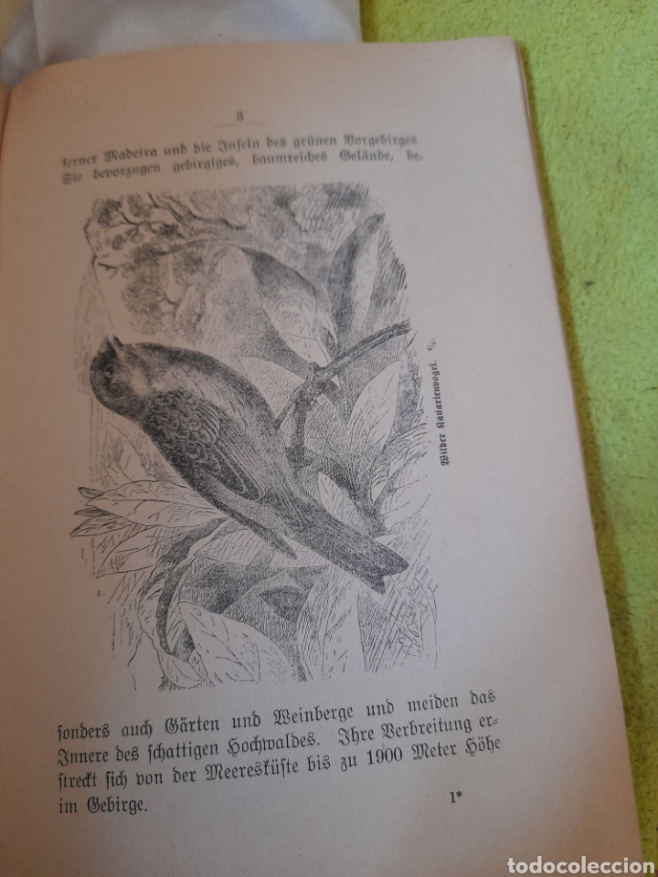 Libros antiguos: Antiguo libro en alem&aacute;n sobre canarios - Foto 4