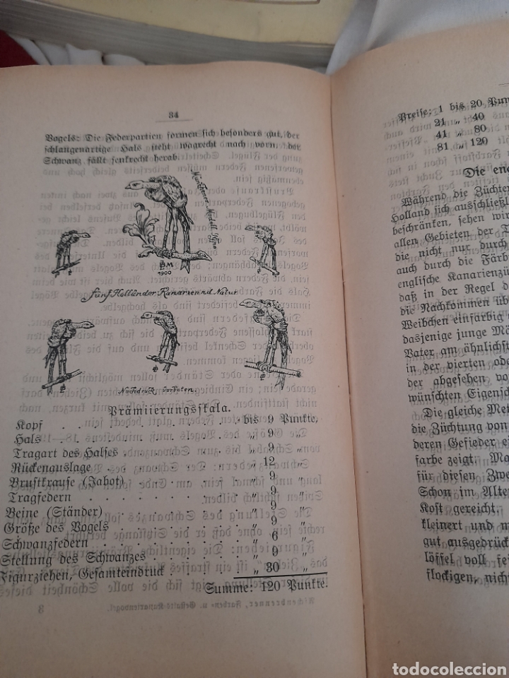 Libros antiguos: Antiguo libro en alem&aacute;n sobre canarios - Foto 5