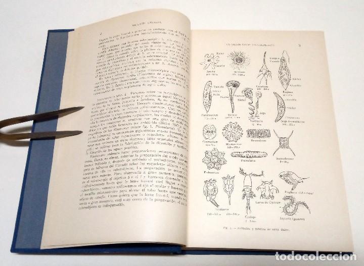 Libros antiguos: R&Ouml;MPP, Hermann. Biolog&iacute;a general. 1936. - Foto 4