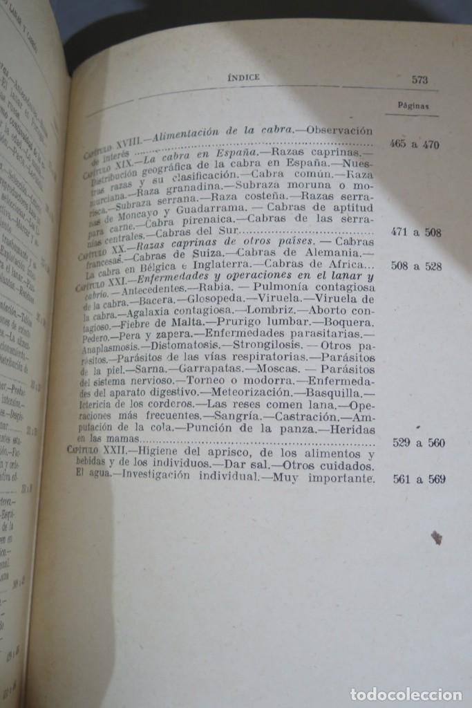 Libros antiguos: GANADO LANAR Y CABR&Iacute;O. SANTOS AR&Aacute;N - Foto 5