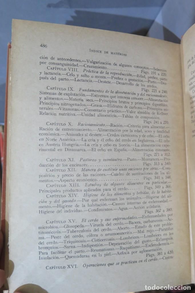 Libros antiguos: GANADO DE CERDA. SANTOS ARAN - Foto 5
