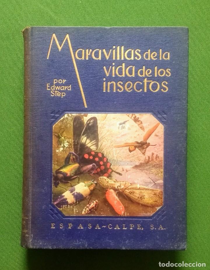 Libros antiguos: MARAVILLAS DE LA VIDA DE LOS INSECTOS - 1926 - Foto 1