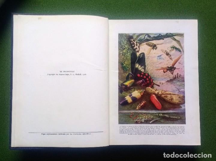 Libros antiguos: MARAVILLAS DE LA VIDA DE LOS INSECTOS - 1926 - Foto 2