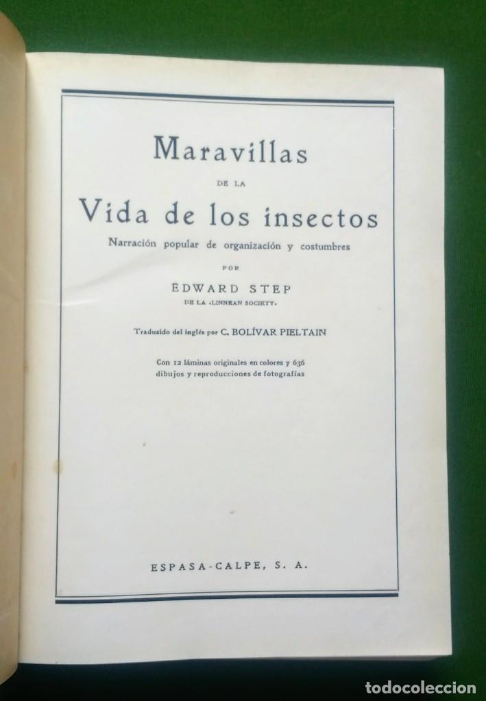 Libros antiguos: MARAVILLAS DE LA VIDA DE LOS INSECTOS - 1926 - Foto 3